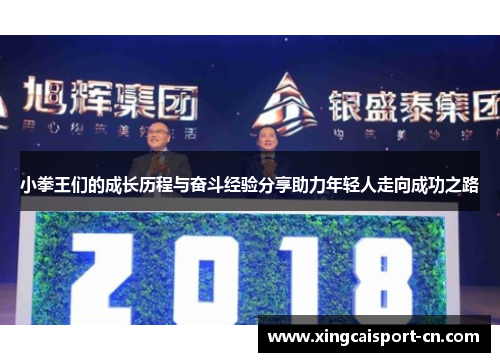 小拳王们的成长历程与奋斗经验分享助力年轻人走向成功之路