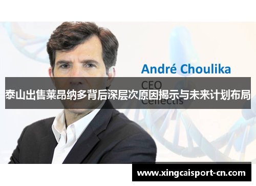 泰山出售莱昂纳多背后深层次原因揭示与未来计划布局