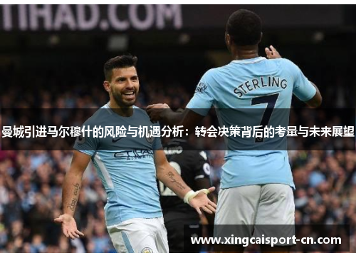 曼城引进马尔穆什的风险与机遇分析：转会决策背后的考量与未来展望