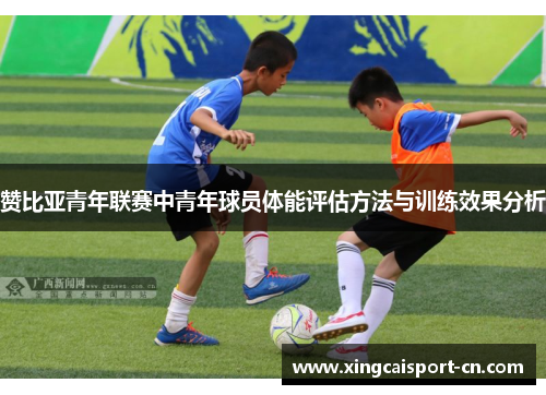 赞比亚青年联赛中青年球员体能评估方法与训练效果分析