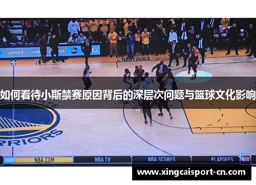 如何看待小斯禁赛原因背后的深层次问题与篮球文化影响