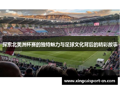 探索北美洲杯赛的独特魅力与足球文化背后的精彩故事
